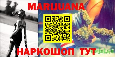 гидра Бийск